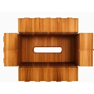Wooden tissue box with living