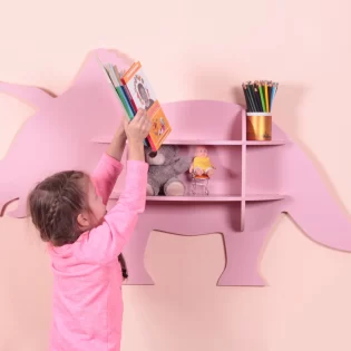Dinosaur shelf