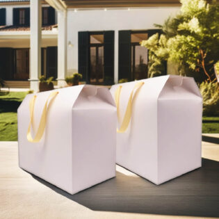 Handle style paper packaging box