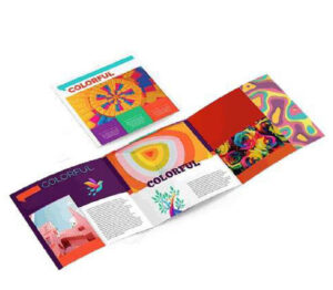 promotional brochure design professional