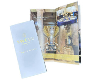 promotional brochure design professional