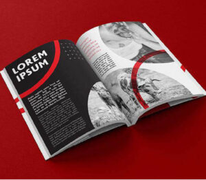 promotional brochure design professional