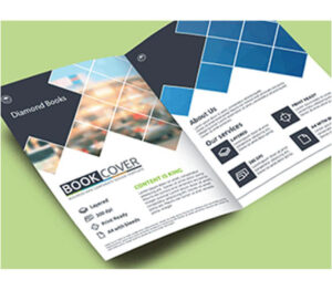 promotional brochure design professional