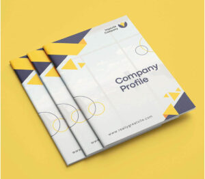 company profile design Gurgaon