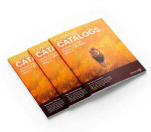 catalog binding printing Gurgaon